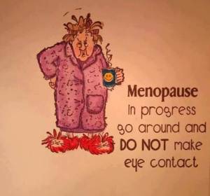 Menopause in Progress